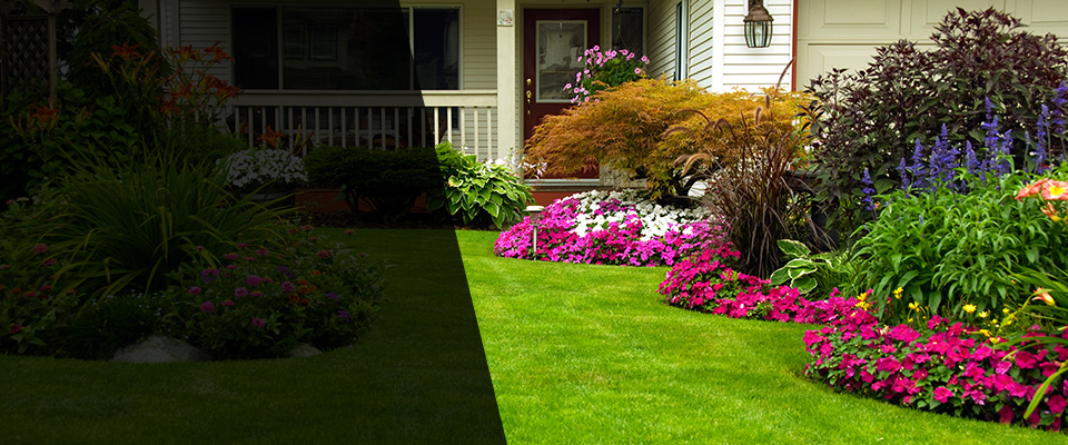 Weston Landscapers